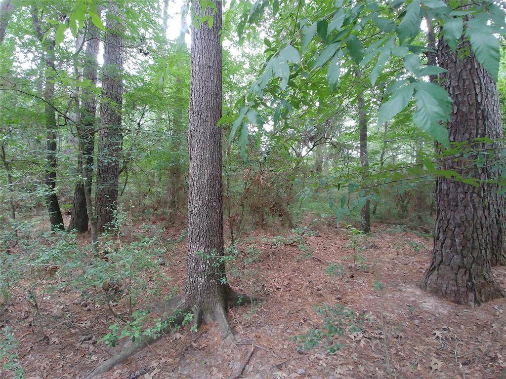 000 N FM Hwy 149 N , Montgomery, TX, 77356 | 36964359 | Realty Texas LLC