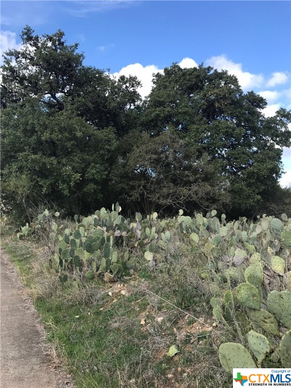 0 Craddock @ Bishop Street, San Marcos, TX, 78666 | 397869 | Realty Texas LLC