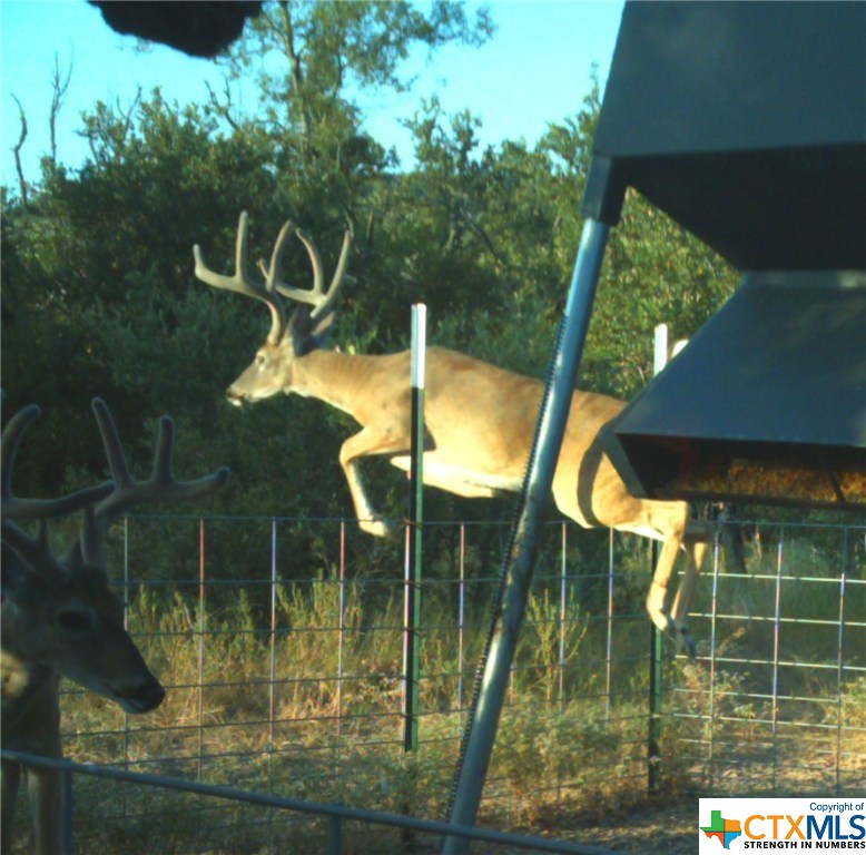 1551 CR 252 , Gustine, TX, 76455 | 402873 | Realty Texas LLC