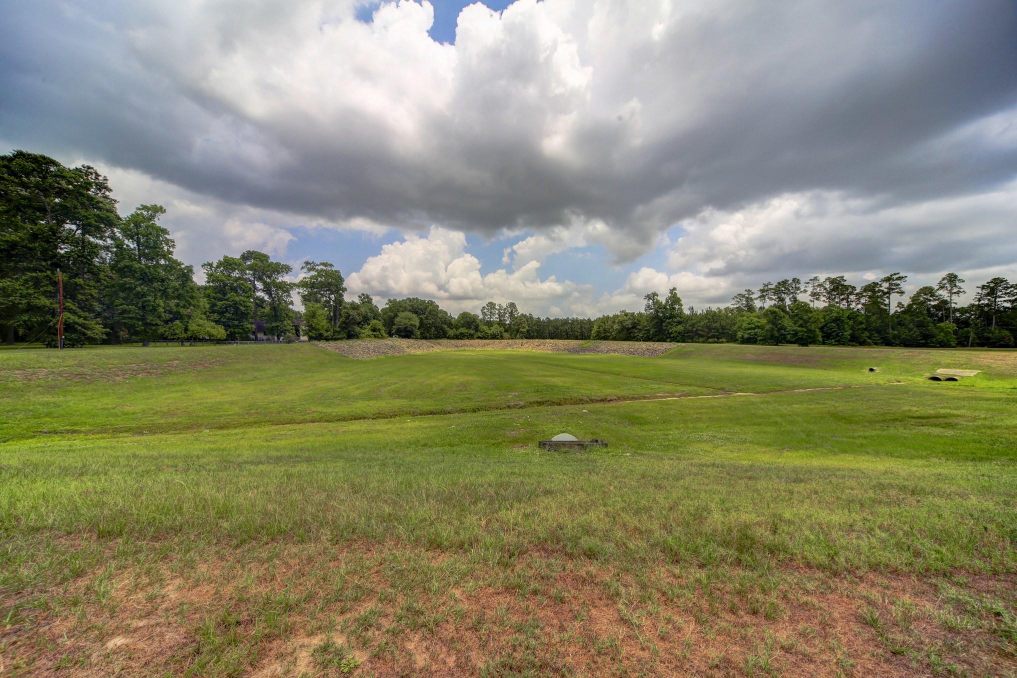 2202 Yellow Fern Path , Spring, TX, 77386 | 41324142 | Realty Texas LLC