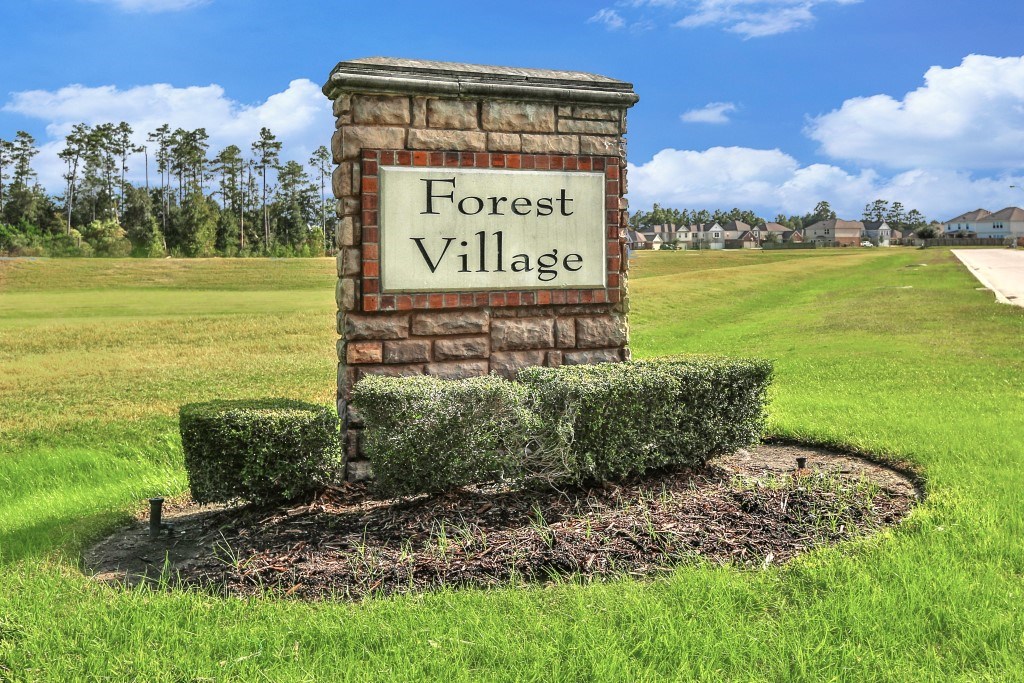 2202 Yellow Fern Path , Spring, TX, 77386 | 41324142 | Realty Texas LLC