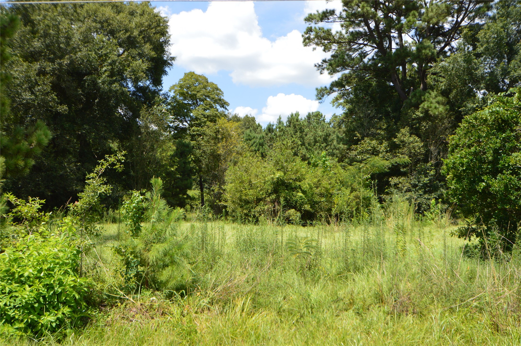 18286 Hwy 59, New Caney, TX, 77357 | 42831844 | Realty Texas LLC