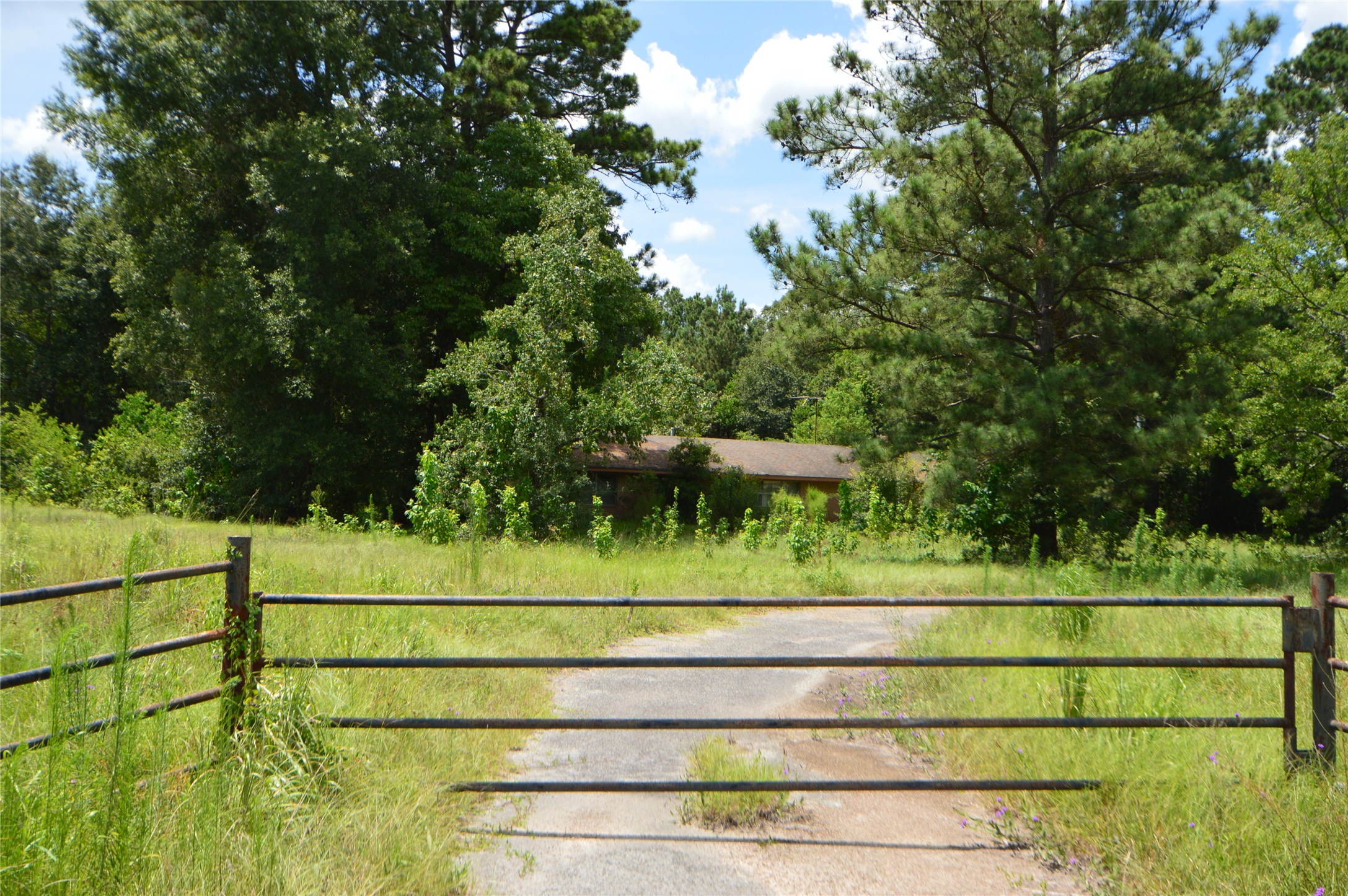 18286 Hwy 59, New Caney, TX, 77357 | 42831844 | Realty Texas LLC