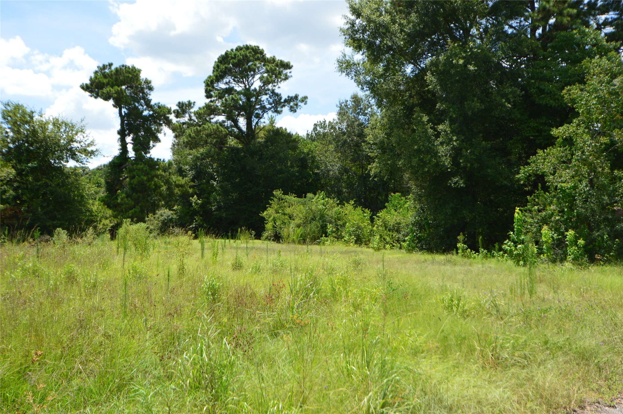 18286 Hwy 59, New Caney, TX, 77357 | 42831844 | Realty Texas LLC
