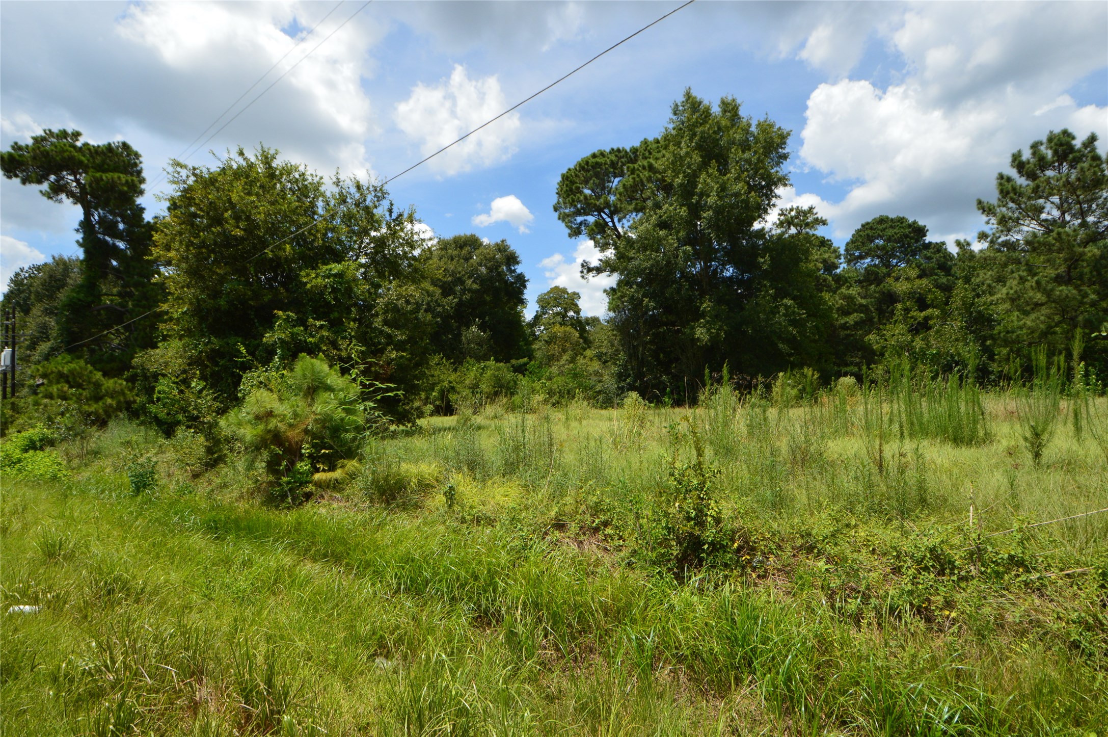 18286 Hwy 59, New Caney, TX, 77357 | 42831844 | Realty Texas LLC