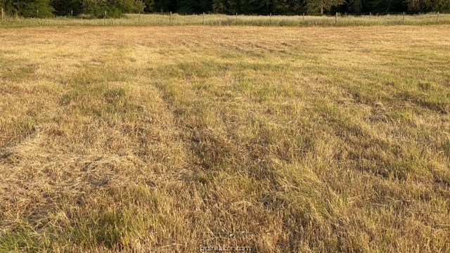 1290 Gun Range Road , Somerville, TX, 77879 | 20013628 | Realty Texas LLC