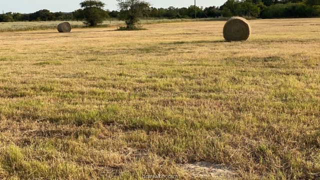 1290 Gun Range Road , Somerville, TX, 77879 | 20013628 | Realty Texas LLC