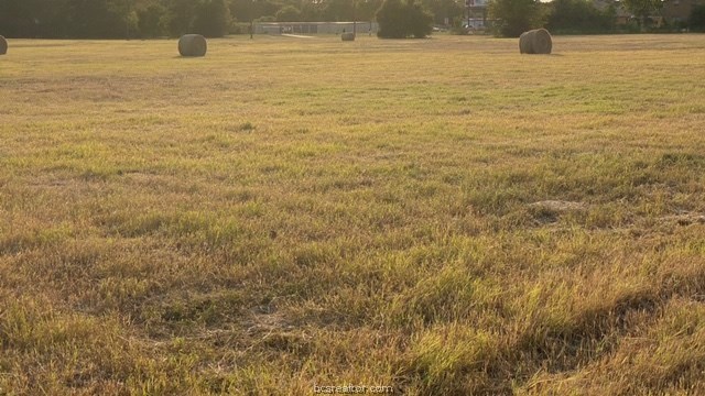 1290 Gun Range Road , Somerville, TX, 77879 | 20013628 | Realty Texas LLC