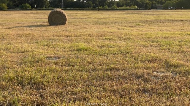 1290 Gun Range Road , Somerville, TX, 77879 | 20013628 | Realty Texas LLC