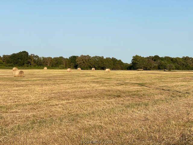 1290 Gun Range Road , Somerville, TX, 77879 | 20013628 | Realty Texas LLC