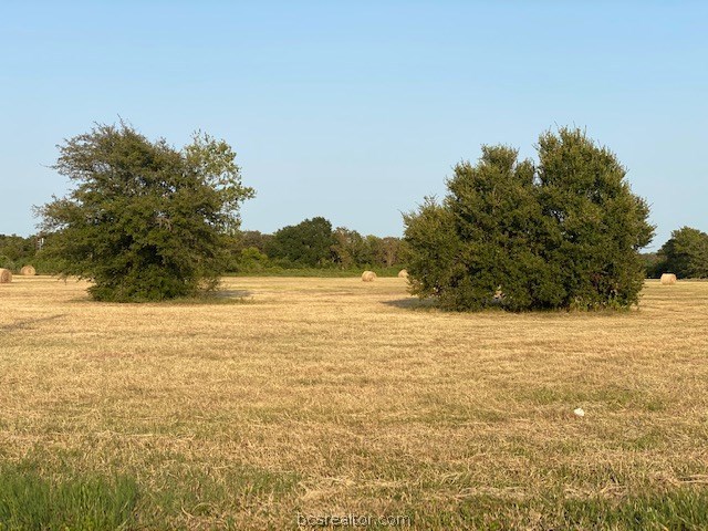 1290 Gun Range Road , Somerville, TX, 77879 | 20013628 | Realty Texas LLC