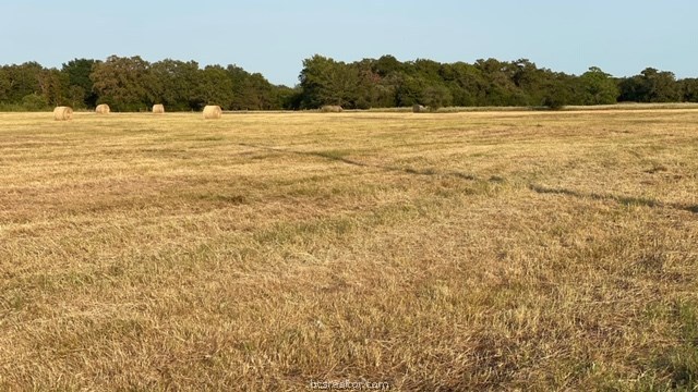 1290 Gun Range Road , Somerville, TX, 77879 | 20013628 | Realty Texas LLC