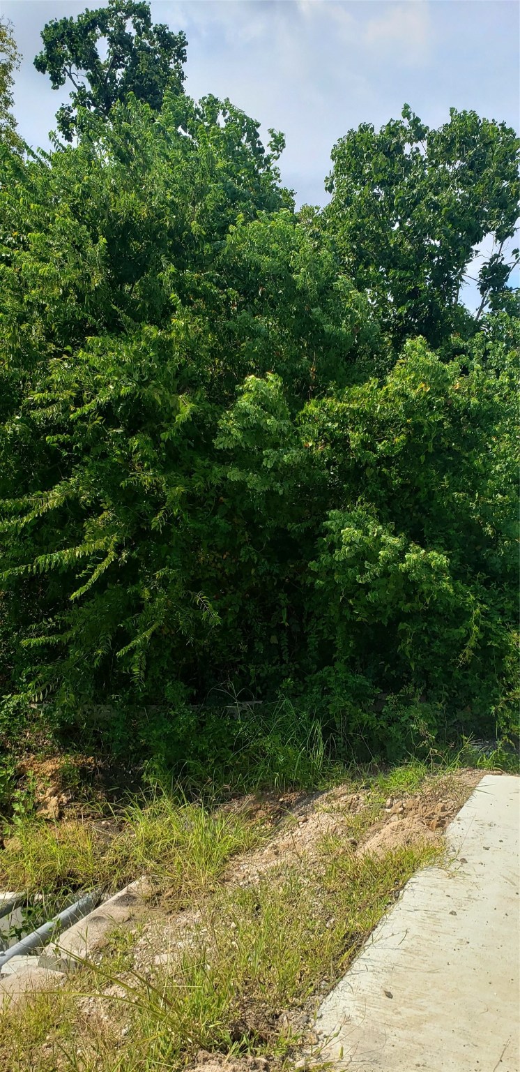 0 Fm 2234, Houston, TX, 77053 | 39559566 | Realty Texas LLC