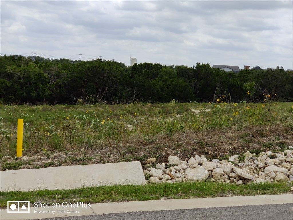 410 Whisenant Lane, Dripping Springs, TX, 78620 | 8154023 | Realty Texas LLC