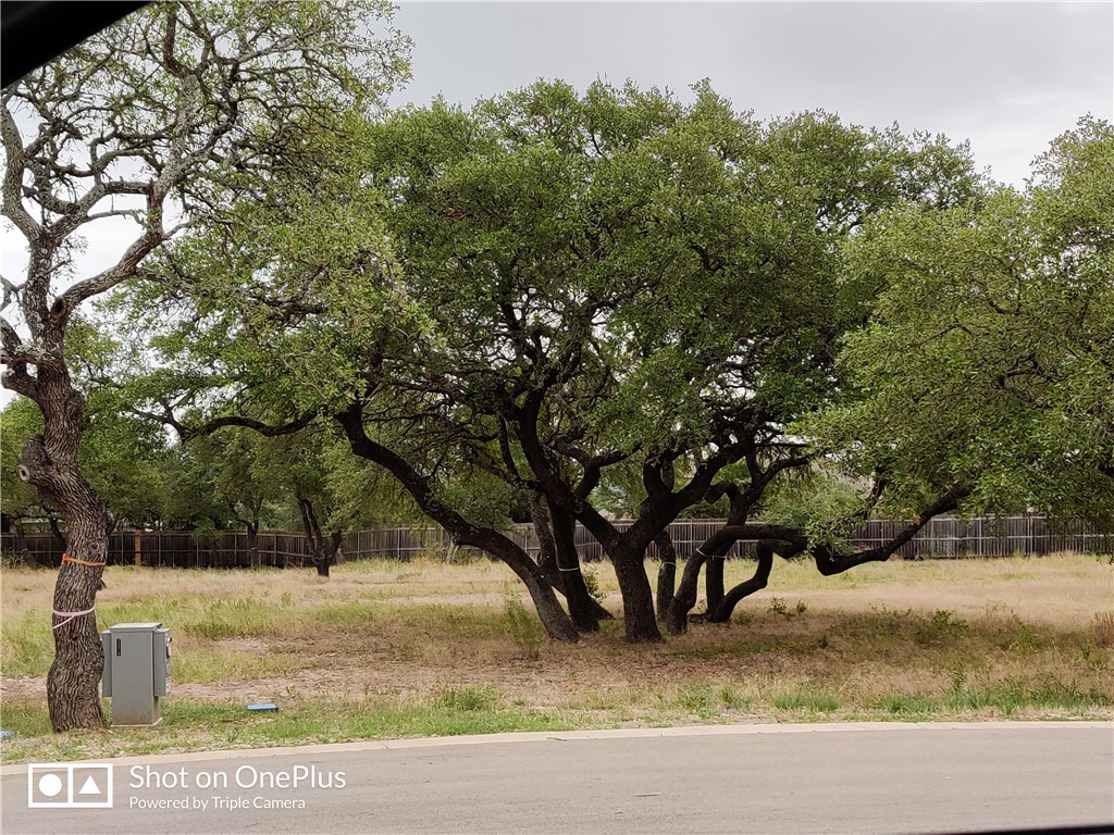 410 Whisenant Lane, Dripping Springs, TX, 78620 | 8154023 | Realty Texas LLC