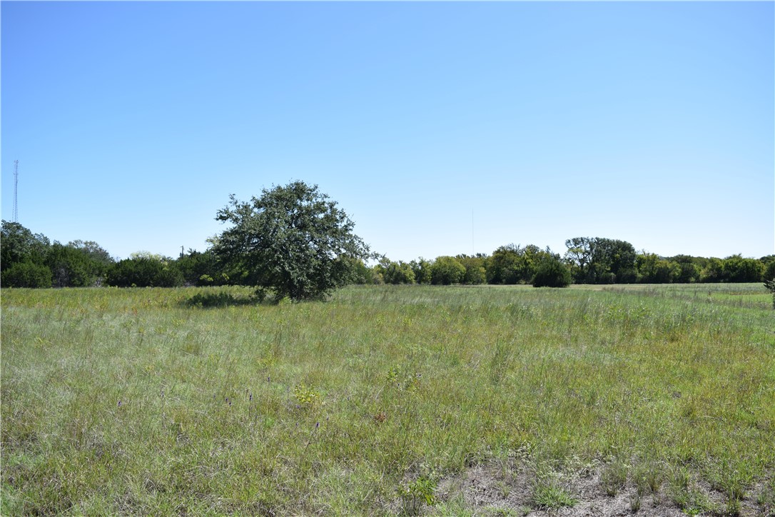 0000 County Rd 268 , Bertram, TX, 78605 | 9955135 | Realty Texas LLC