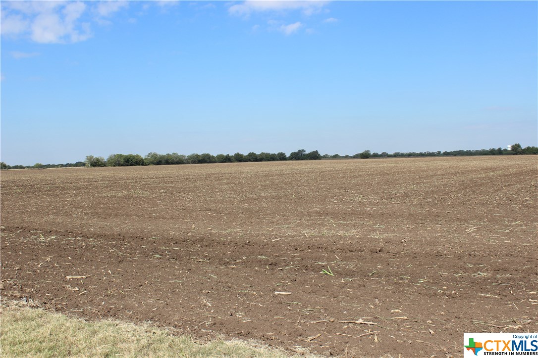 8676 Trainer Hale Road , Schertz, TX, 78154 | 424172 | Realty Texas LLC