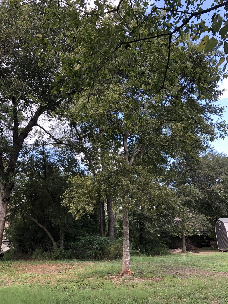 00 Tall Timbers Drive , Houston, TX, 77065 | 20136769 | Realty Texas LLC