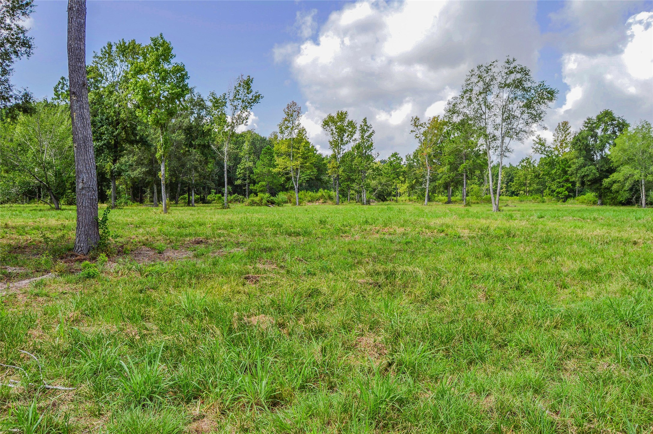 5 AC HWY 321, Cleveland, TX, 77327 | 53587624 | Realty Texas LLC