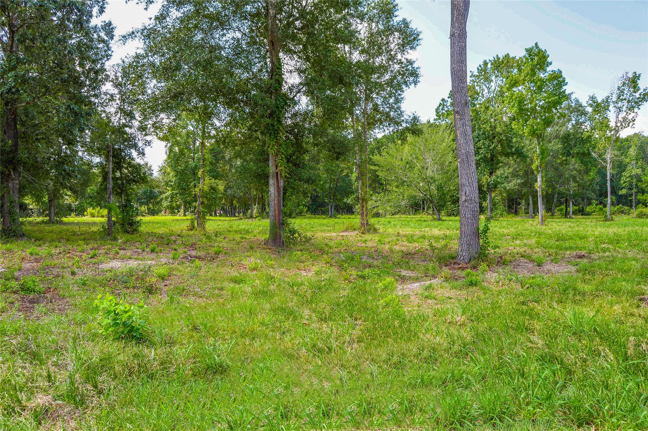5 AC HWY 321, Cleveland, TX, 77327 | 53587624 | Realty Texas LLC