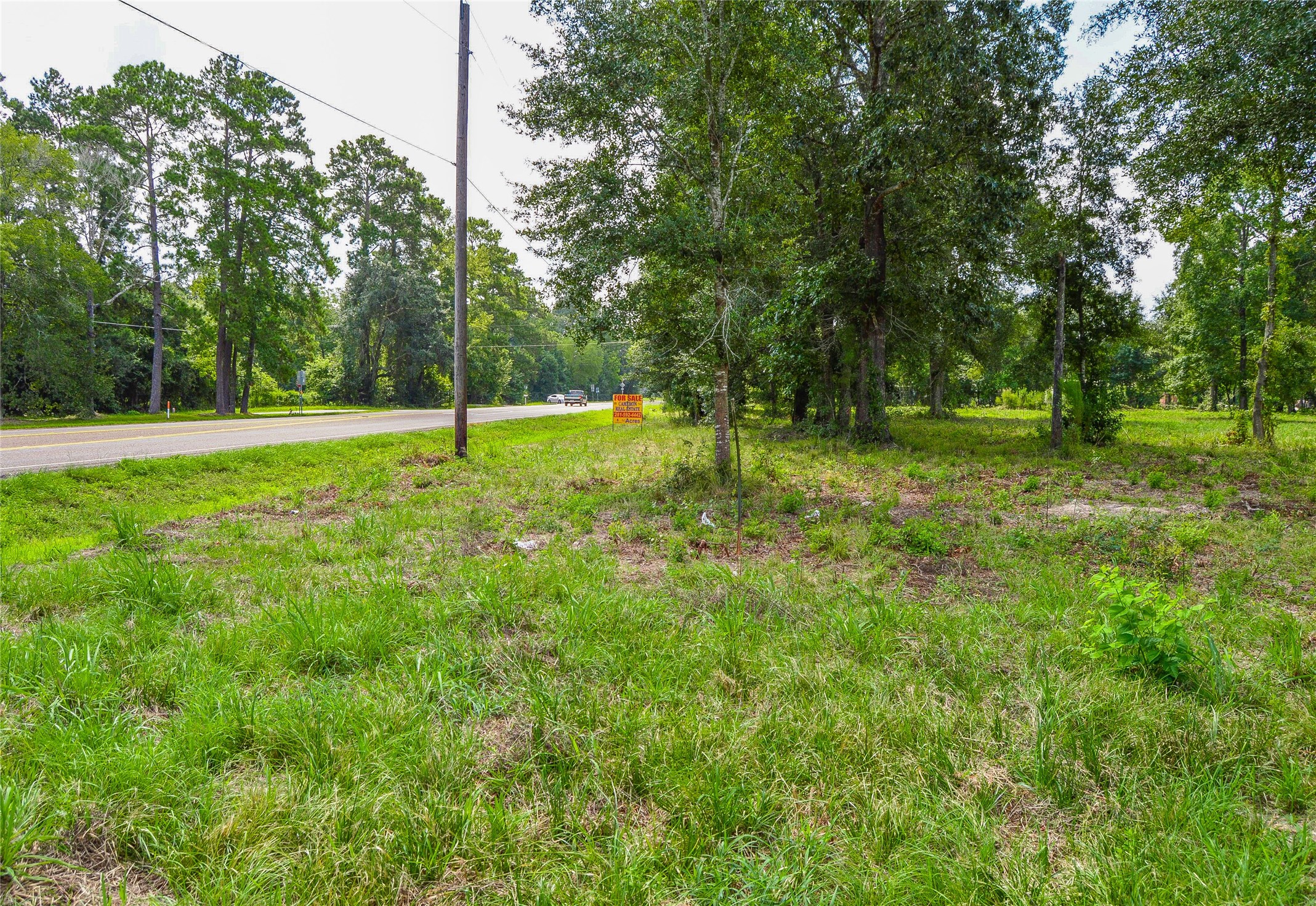 5 AC HWY 321, Cleveland, TX, 77327 | 53587624 | Realty Texas LLC