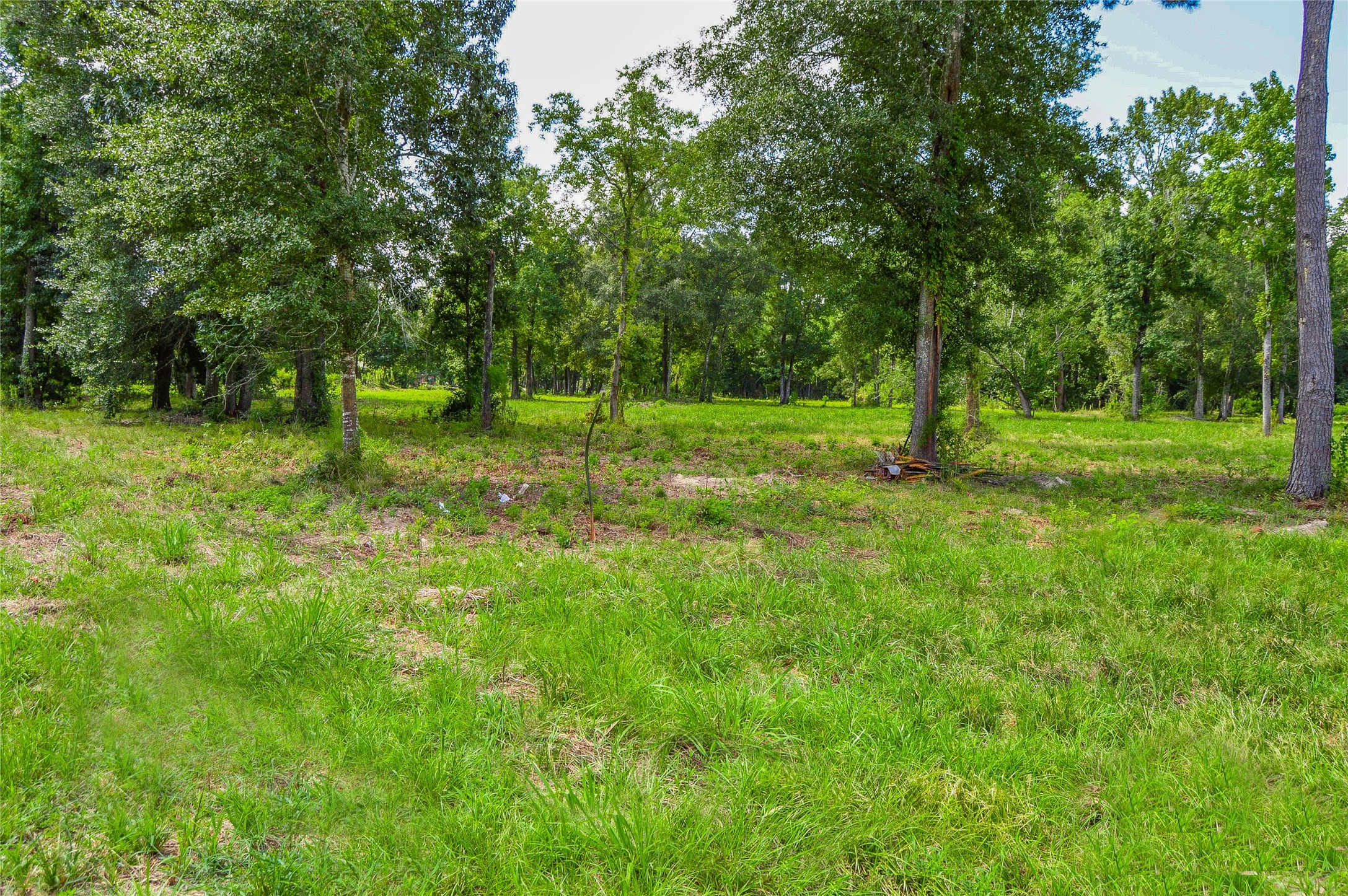5 AC HWY 321, Cleveland, TX, 77327 | 53587624 | Realty Texas LLC