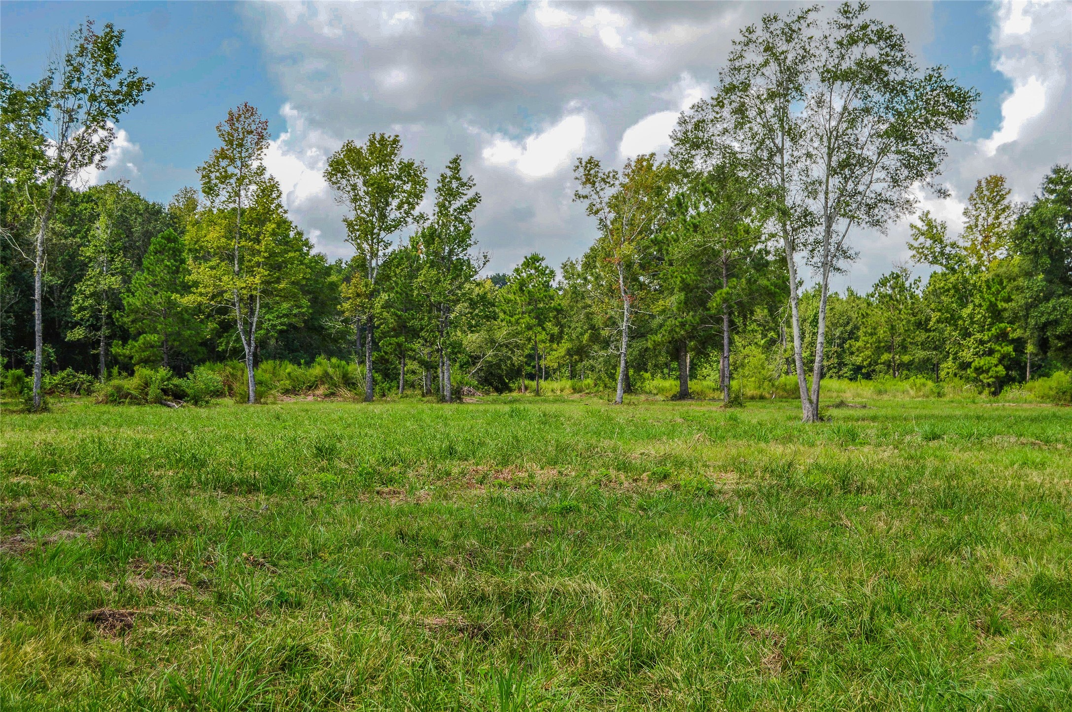 2.24 AC HWY 321, Cleveland, TX, 77327 | 32021972 | Realty Texas LLC