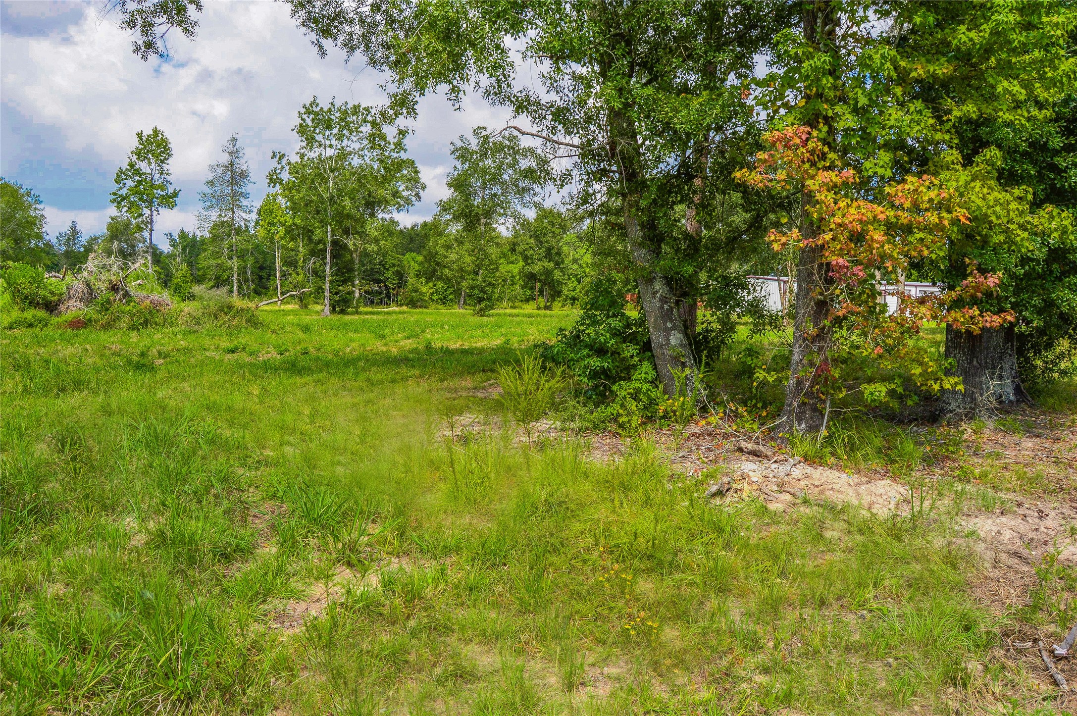 2.24 AC HWY 321, Cleveland, TX, 77327 | 32021972 | Realty Texas LLC