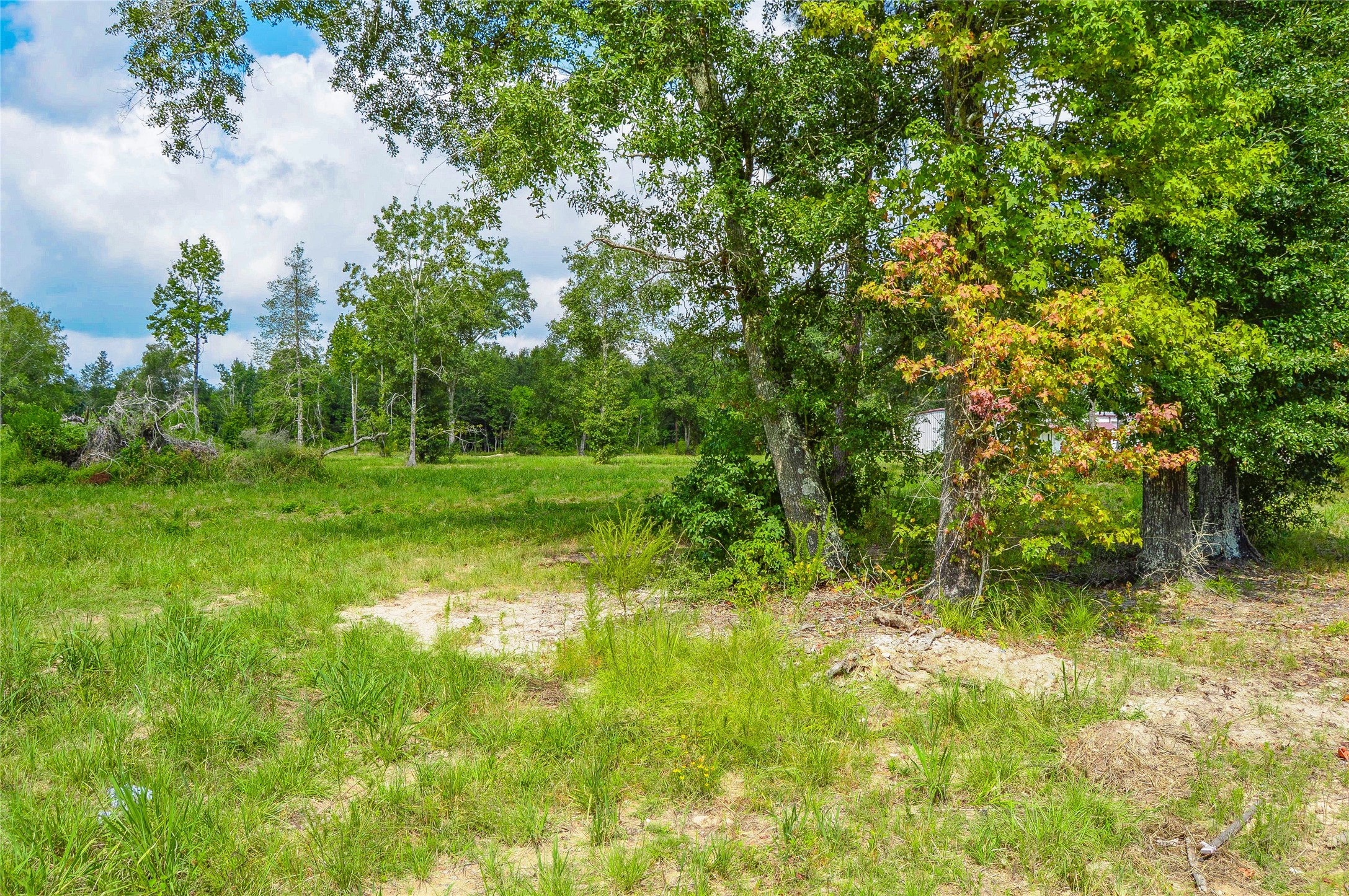 2.24 AC HWY 321, Cleveland, TX, 77327 | 32021972 | Realty Texas LLC