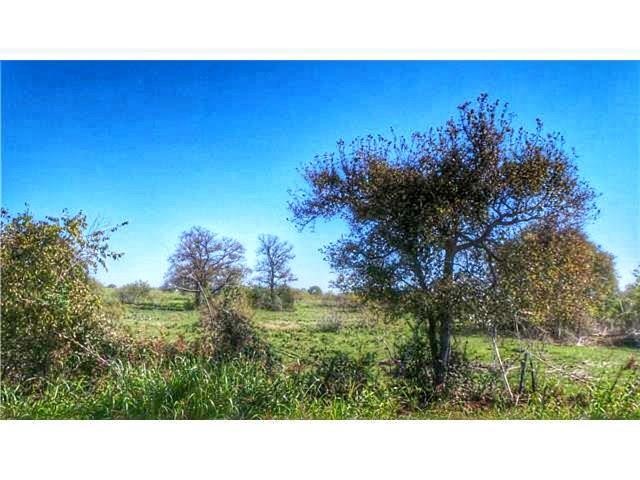 277 FM 672, Dale, TX, 78616 | 4900017 | Realty Texas LLC