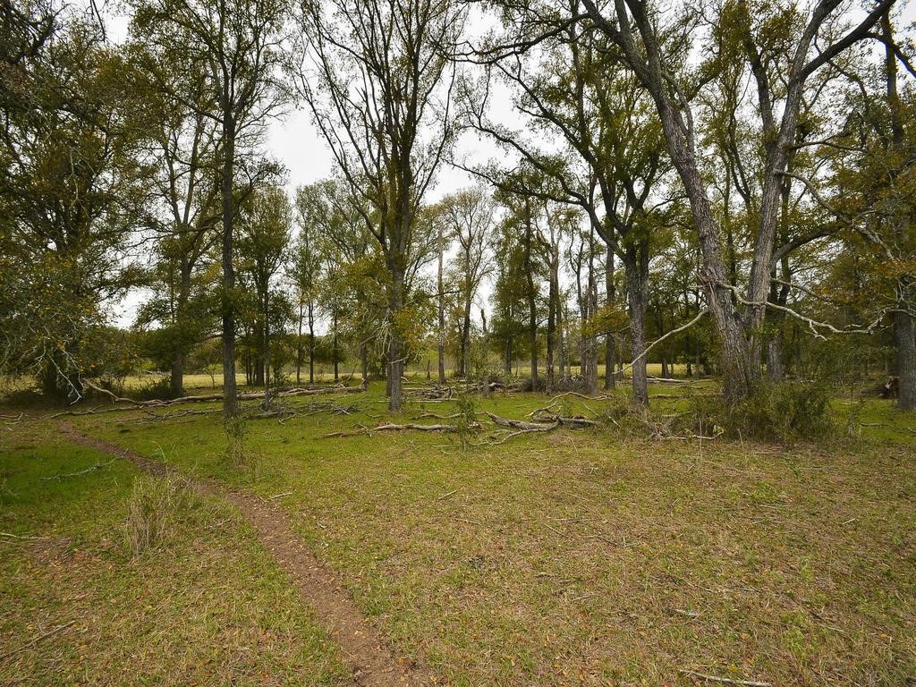 277 FM 672, Dale, TX, 78616 | 4900017 | Realty Texas LLC