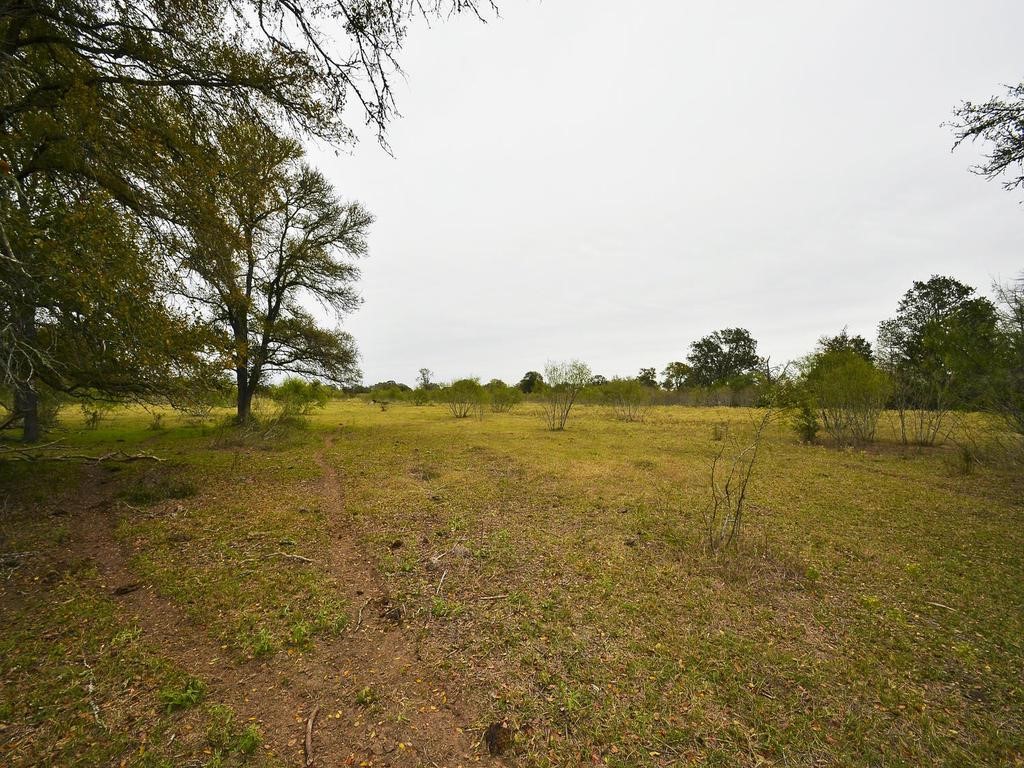 277 FM 672, Dale, TX, 78616 | 4900017 | Realty Texas LLC