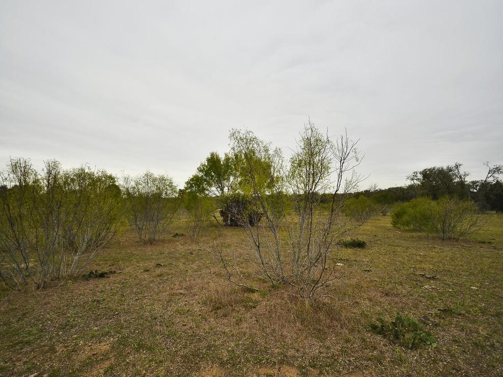 277 FM 672, Dale, TX, 78616 | 4900017 | Realty Texas LLC