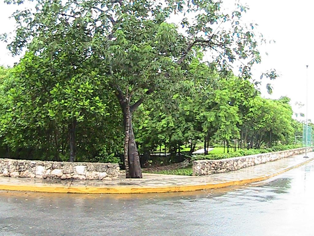 6 S Circuito de la Costa , Cancun, OT, 00000 | 71238279 | Realty Texas LLC