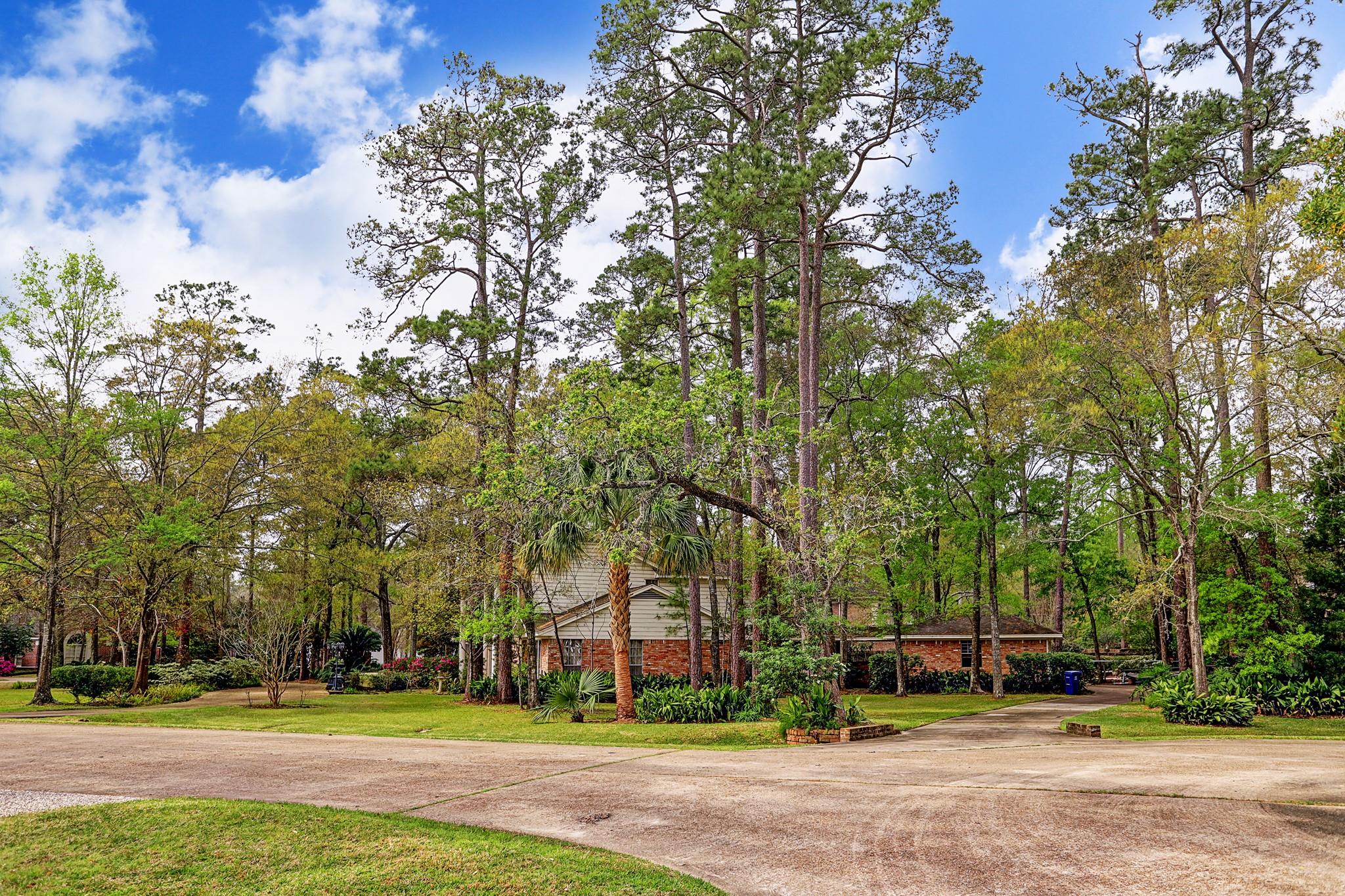 11502 Shadow Way Street , Houston, TX, 77024 | 86908089 | Realty Texas LLC