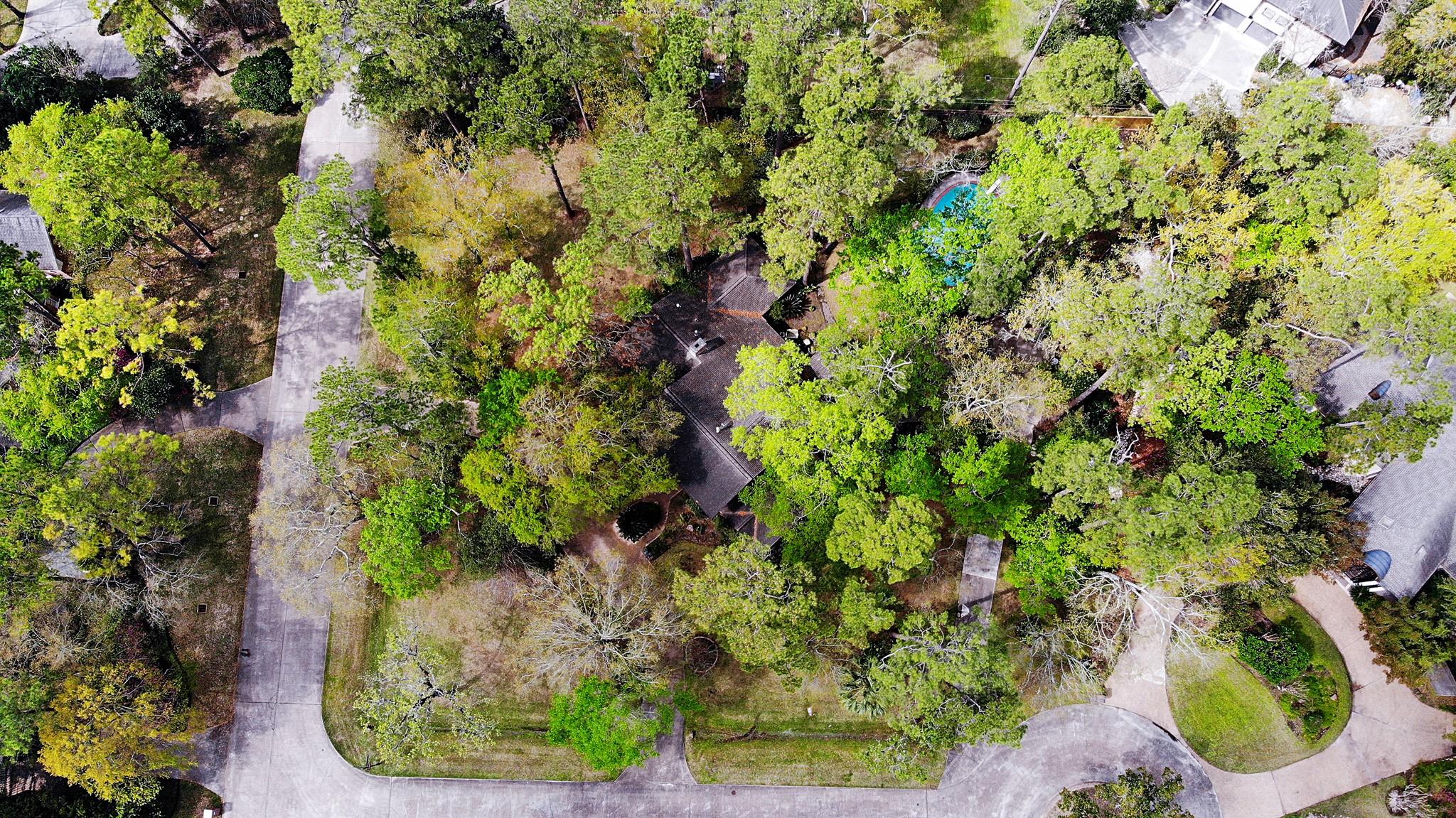 11502 Shadow Way Street , Houston, TX, 77024 | 86908089 | Realty Texas LLC