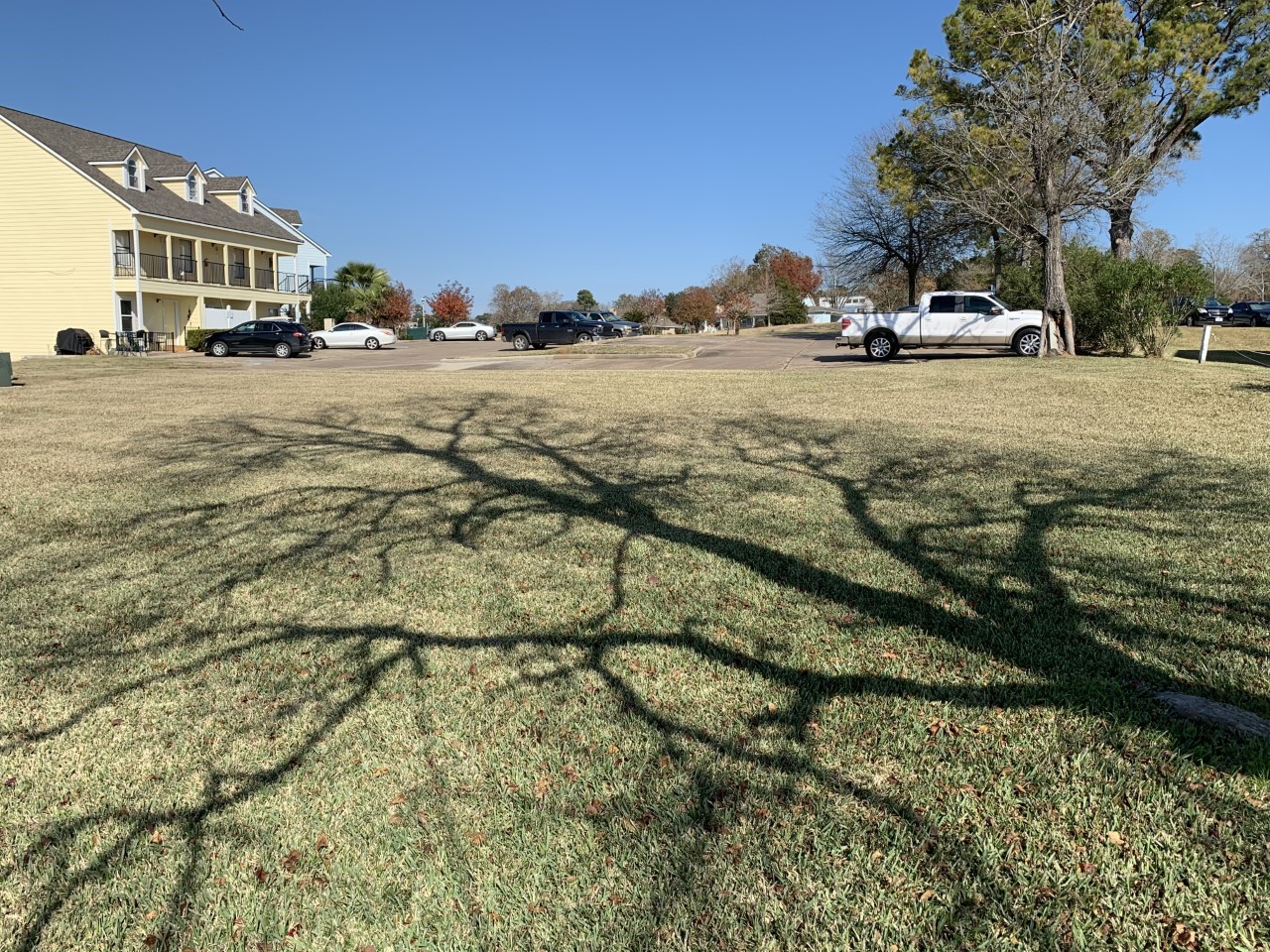 445 Carolcrest Lane , Livingston, TX, 77351 | 34803951 | Realty Texas LLC