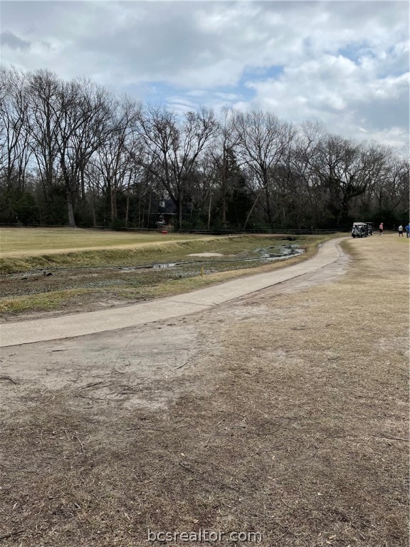 0 Golf Way Dr. , Hilltop Lakes, TX, 77871 | 21000482 | Realty Texas LLC