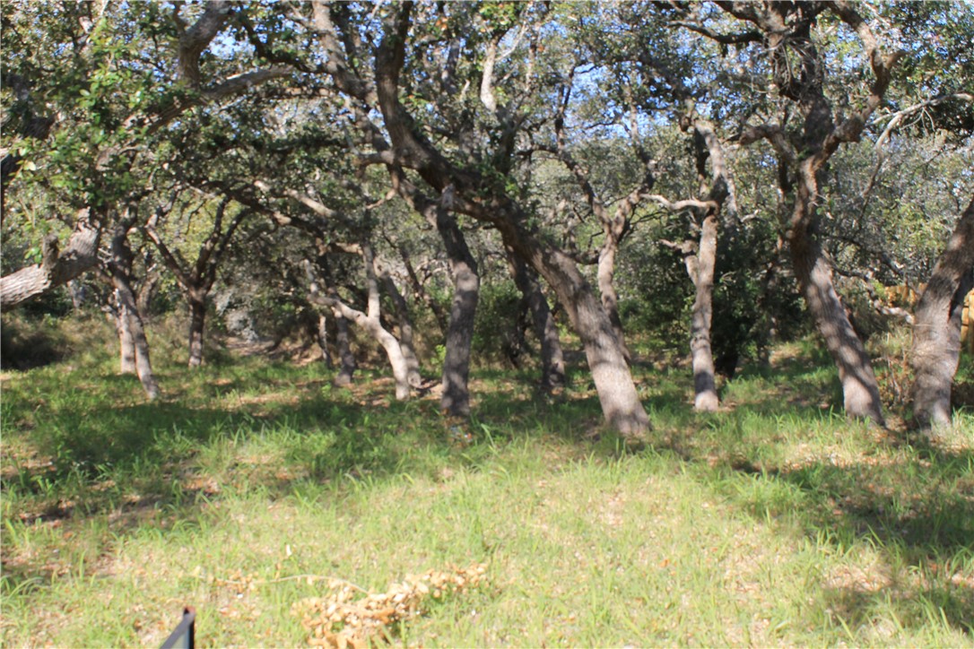 2599 Danforth Lane , Ingleside, TX, 78362 | 377043 | Realty Texas LLC
