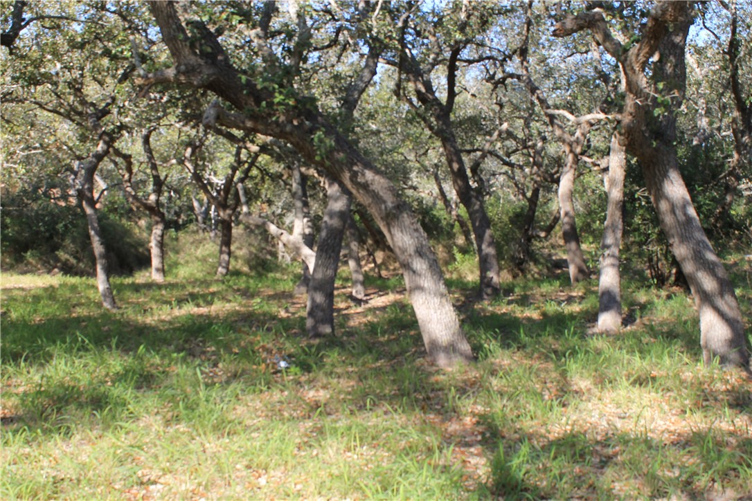 2599 Danforth Lane , Ingleside, TX, 78362 | 377043 | Realty Texas LLC