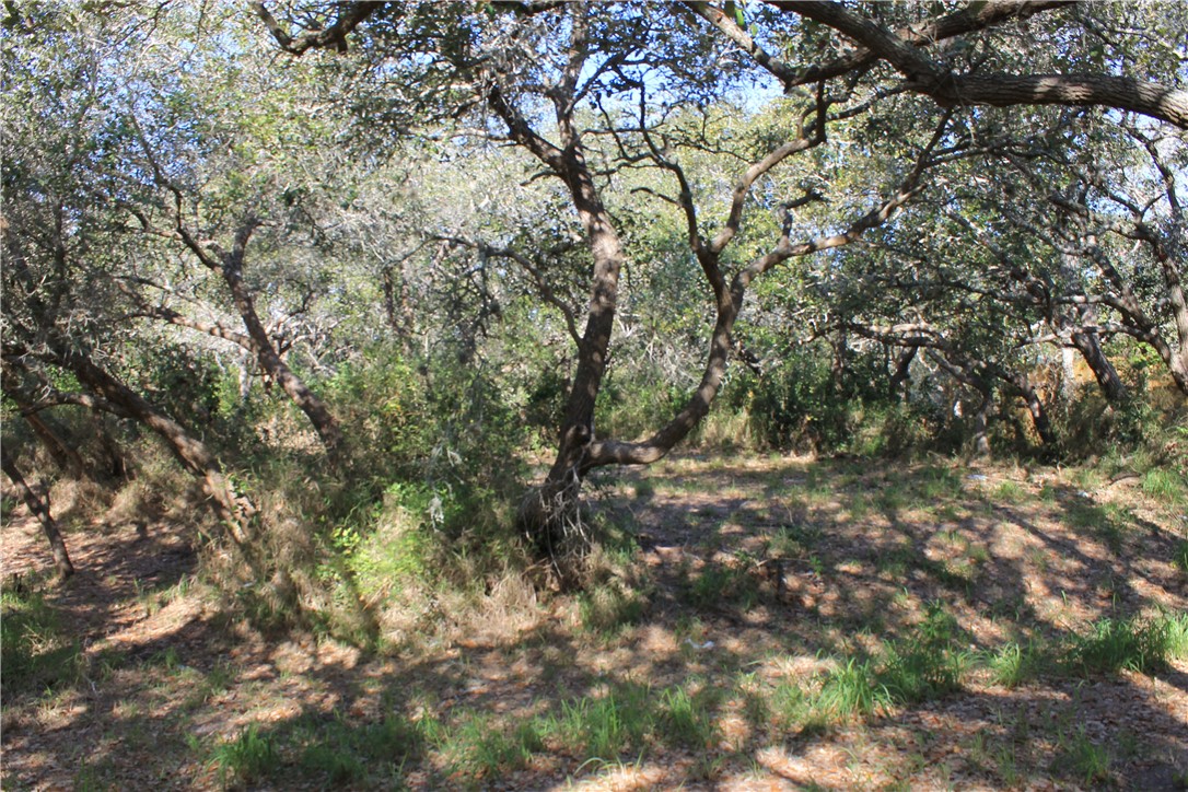 2599 Danforth Lane , Ingleside, TX, 78362 | 377043 | Realty Texas LLC