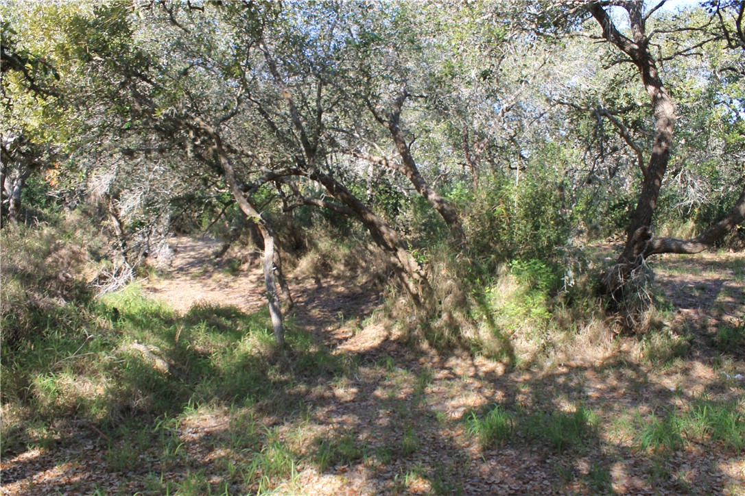 2599 Danforth Lane , Ingleside, TX, 78362 | 377043 | Realty Texas LLC