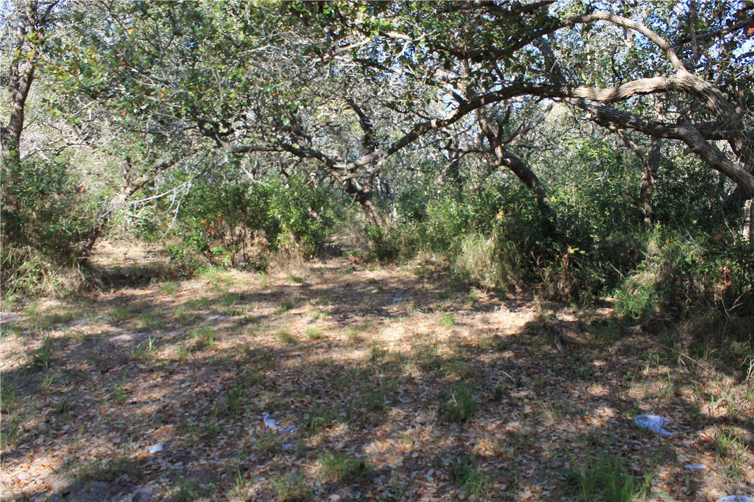 2599 Danforth Lane , Ingleside, TX, 78362 | 377043 | Realty Texas LLC