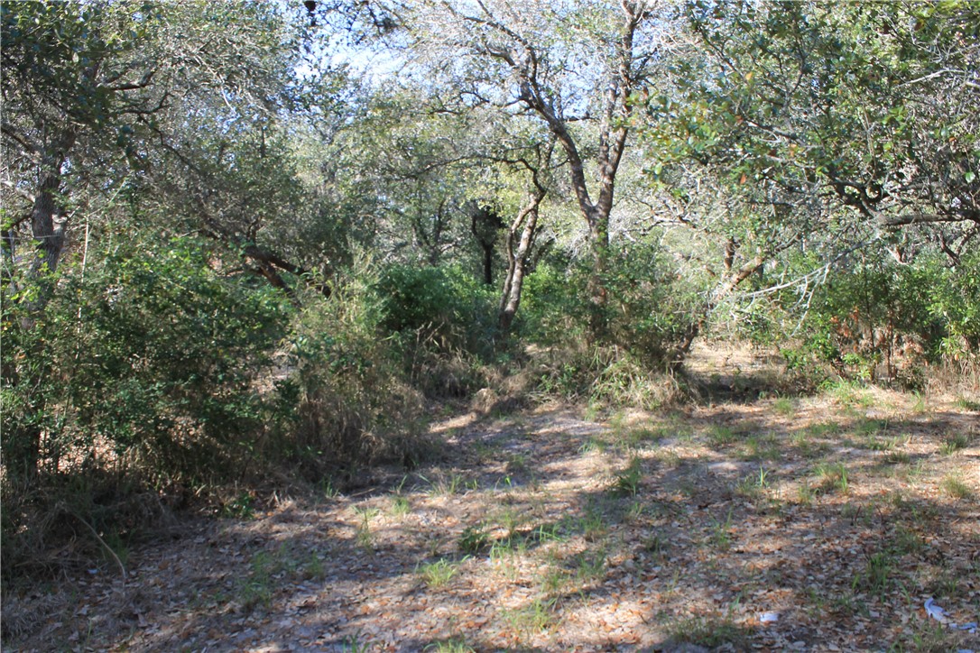 2599 Danforth Lane , Ingleside, TX, 78362 | 377043 | Realty Texas LLC