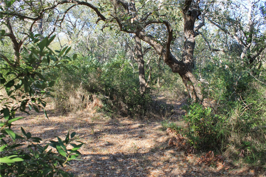2599 Danforth Lane , Ingleside, TX, 78362 | 377043 | Realty Texas LLC