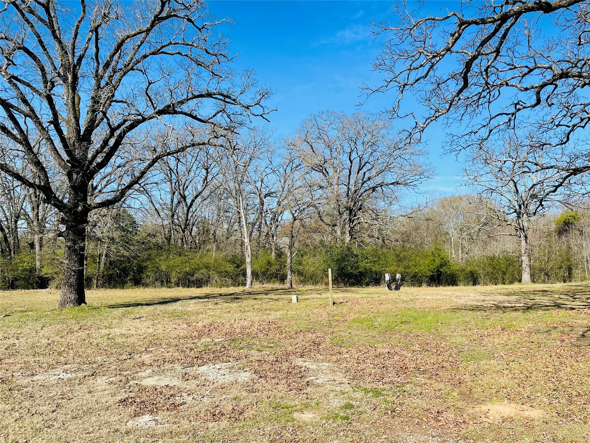 1AC W Commerce Street , Buffalo, TX, 75831 | 65525574 | Realty Texas LLC