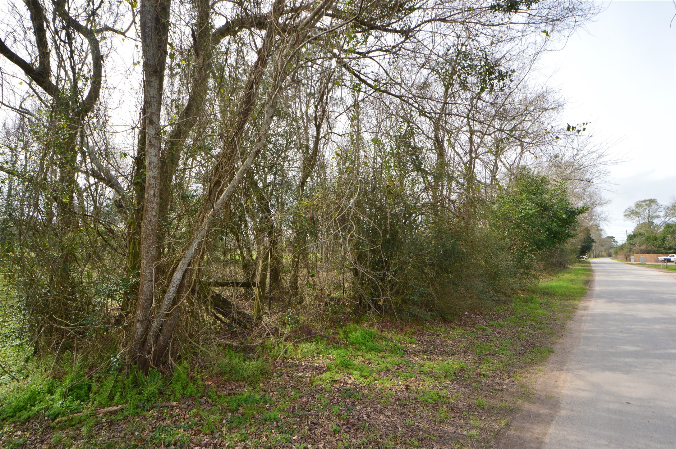 TBD000 Wiggins , Conroe, TX, 77302 | 37428691 | Realty Texas LLC