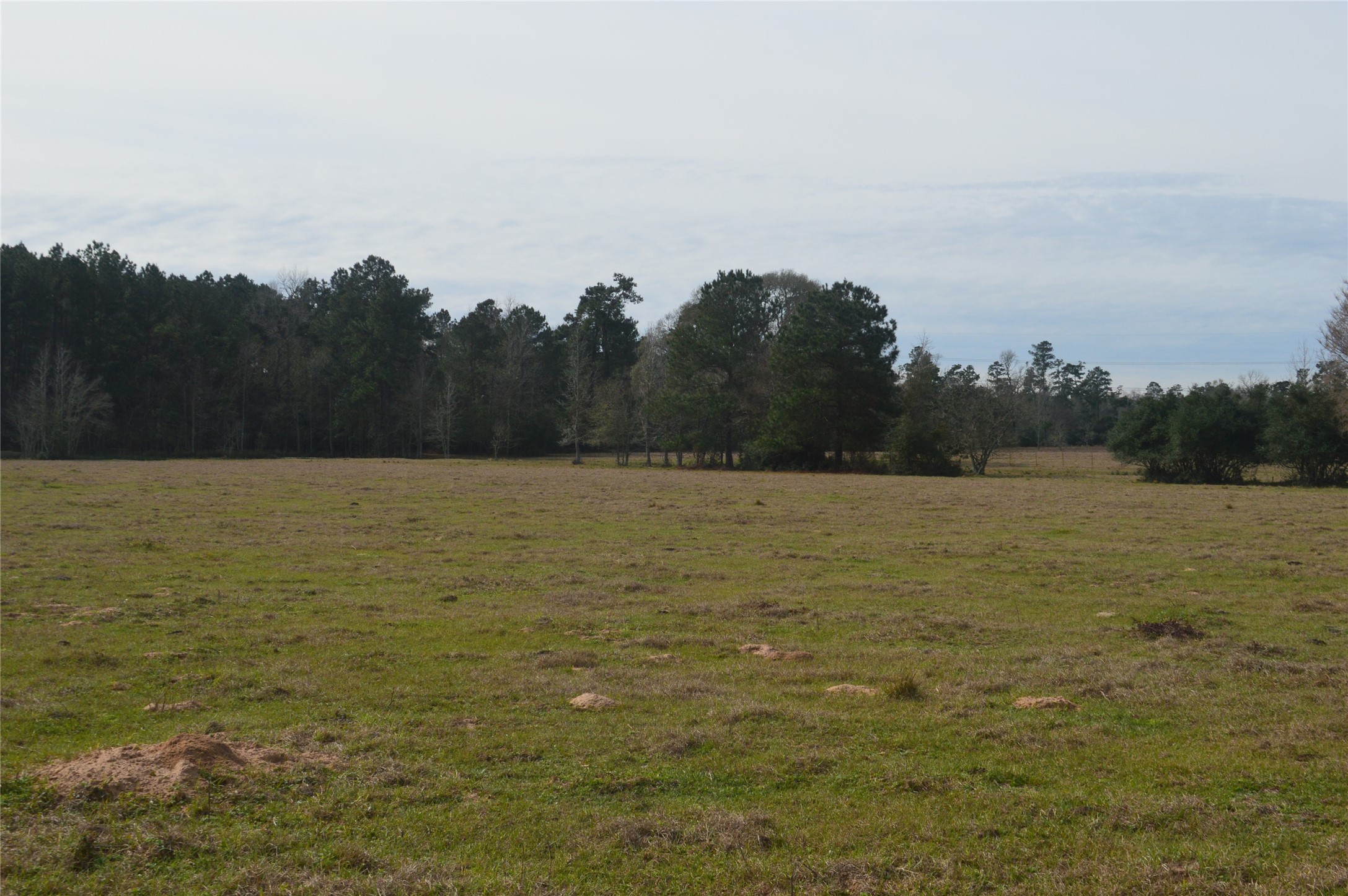 TBD000 Wiggins , Conroe, TX, 77302 | 37428691 | Realty Texas LLC