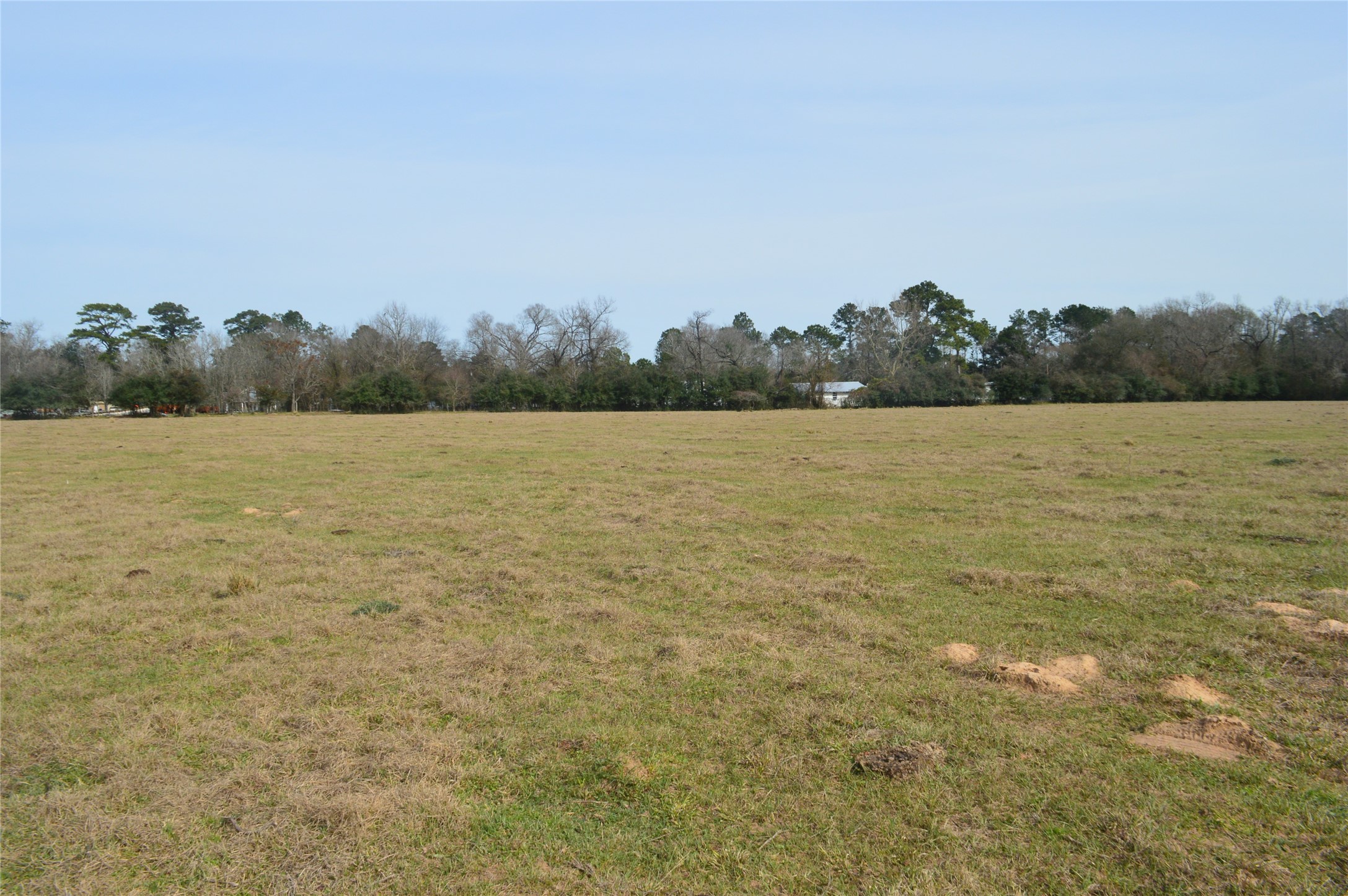 TBD000 Wiggins , Conroe, TX, 77302 | 37428691 | Realty Texas LLC