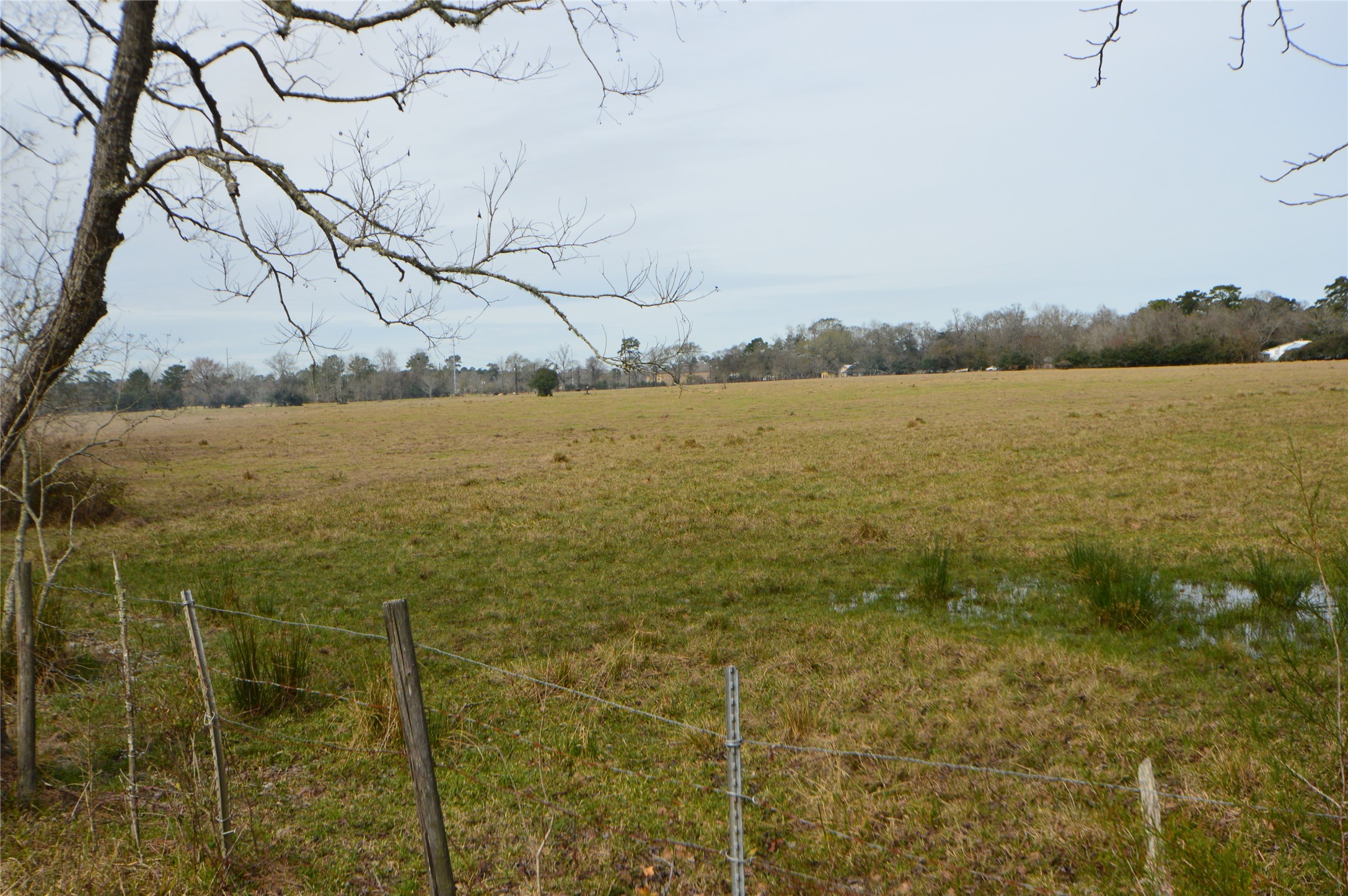 TBD000 Wiggins , Conroe, TX, 77302 | 37428691 | Realty Texas LLC